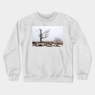 Lone Tree In Fog Crewneck Sweatshirt
